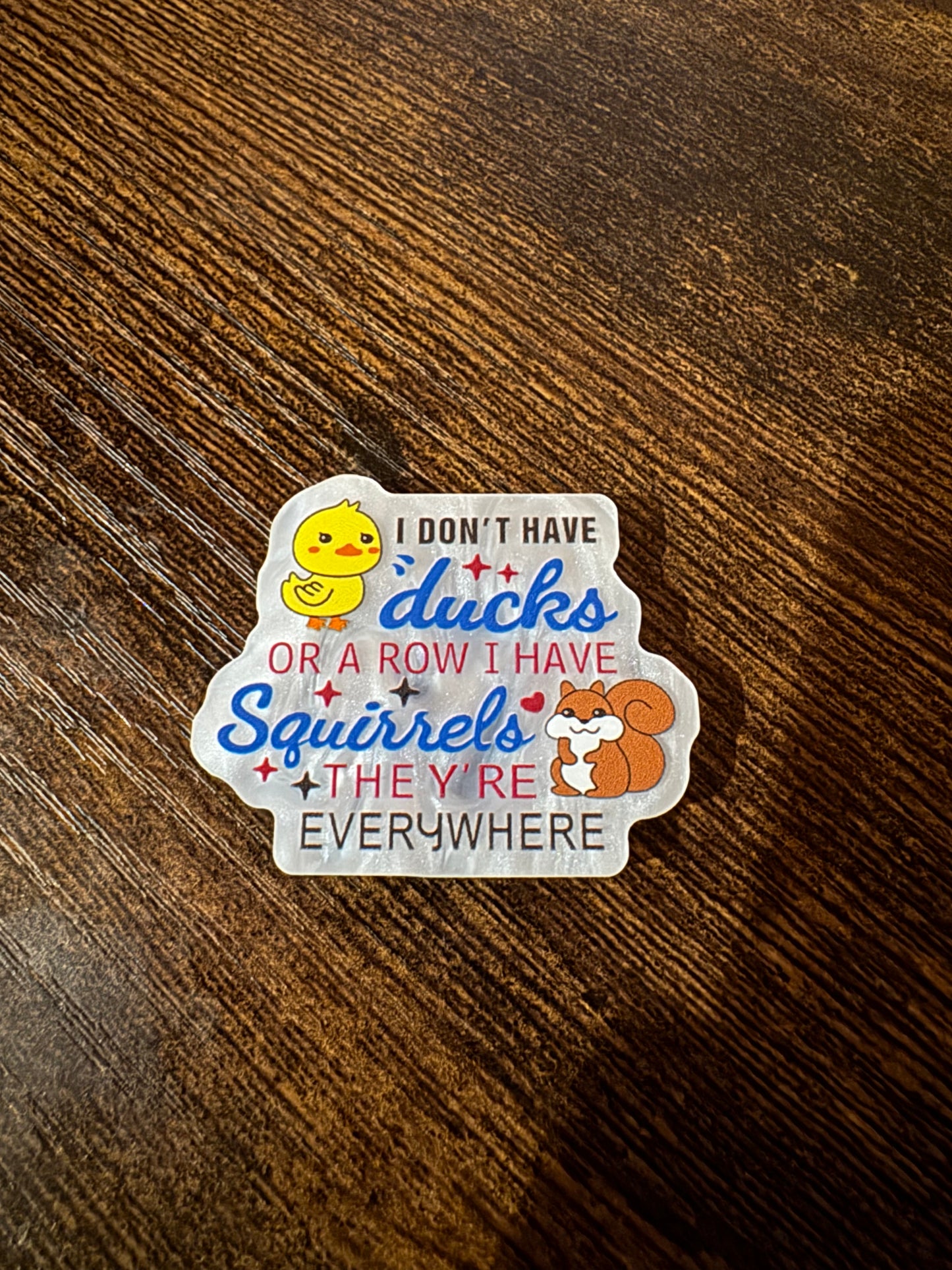 Ducks In A Row Magnet