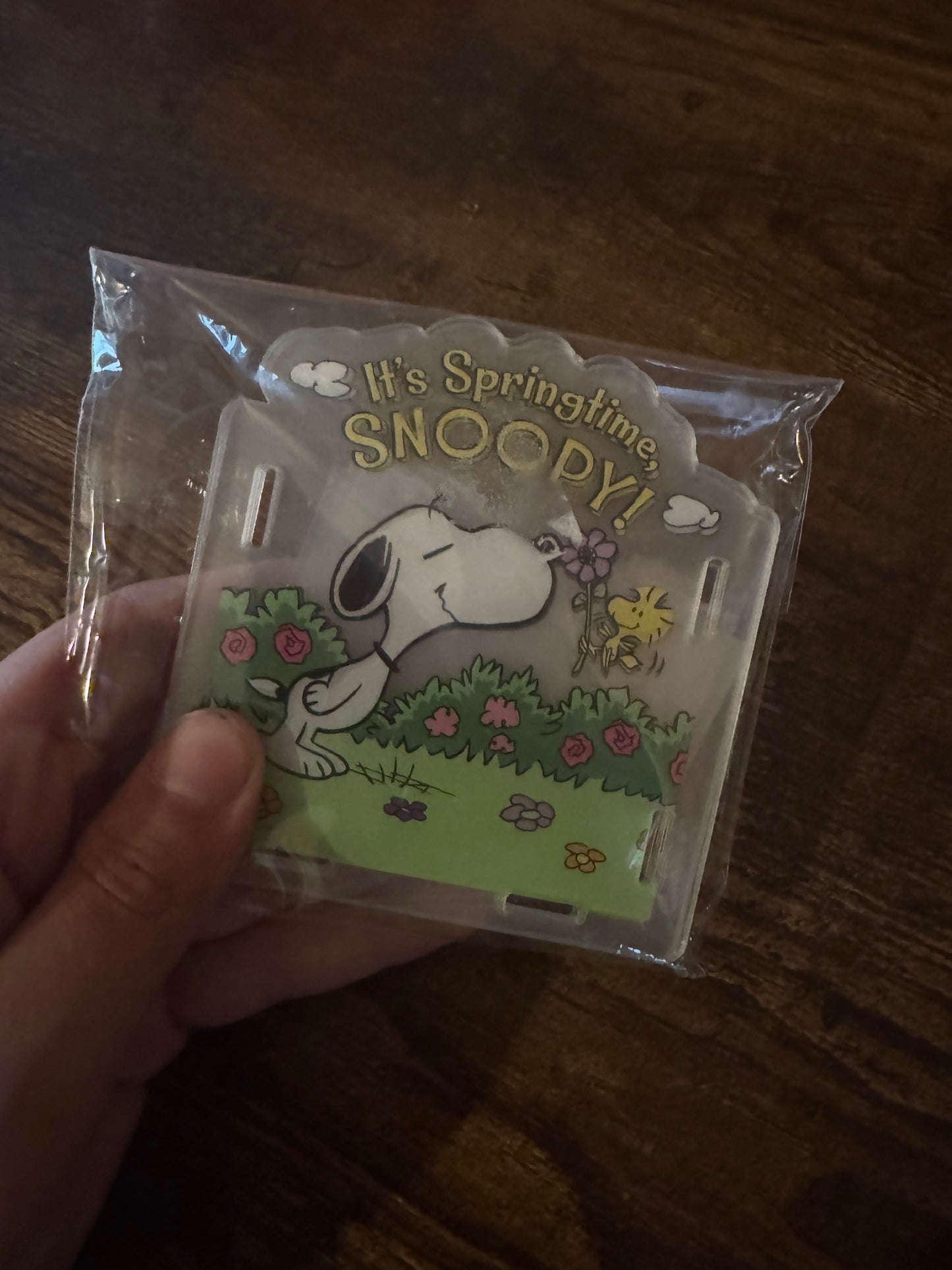 Spring Snoopy Pen Holders